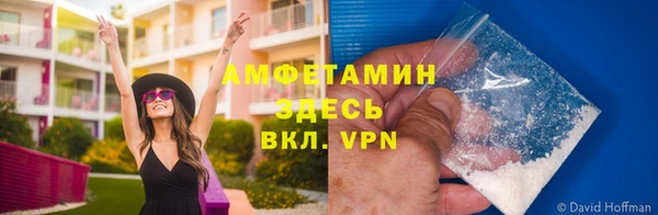 гидропоника Горнозаводск