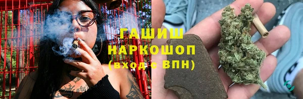 гидропоника Горнозаводск